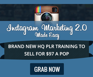 Instagram Marketing 2.0 Biz in a Box Review - Sidebar
