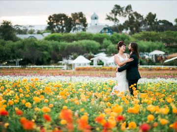 Carlsbad Flower Fields Wedding